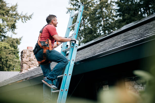 Best Chimney Flashing Repair  in Queen Anne, MD